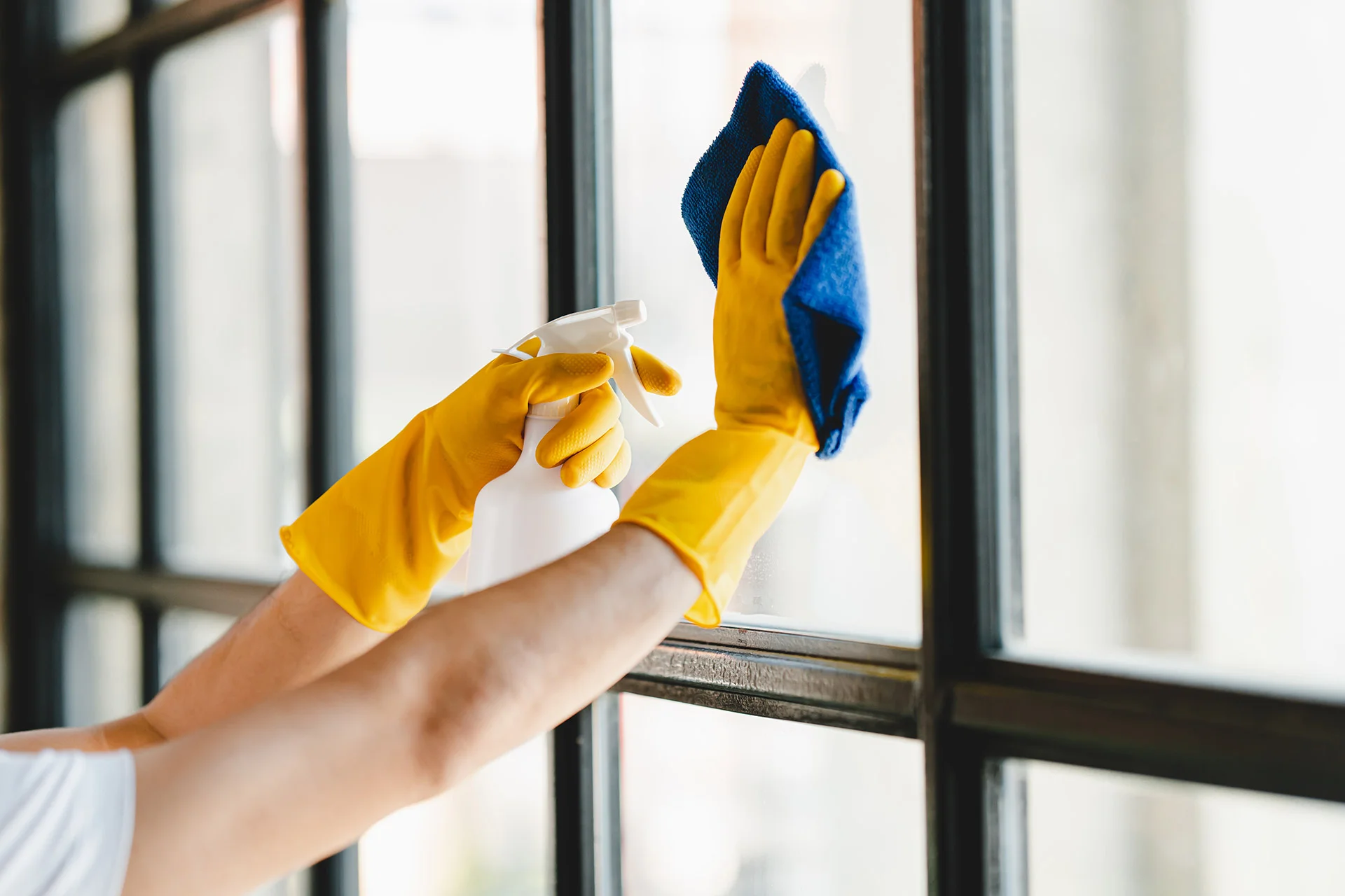 House Cleaning Services